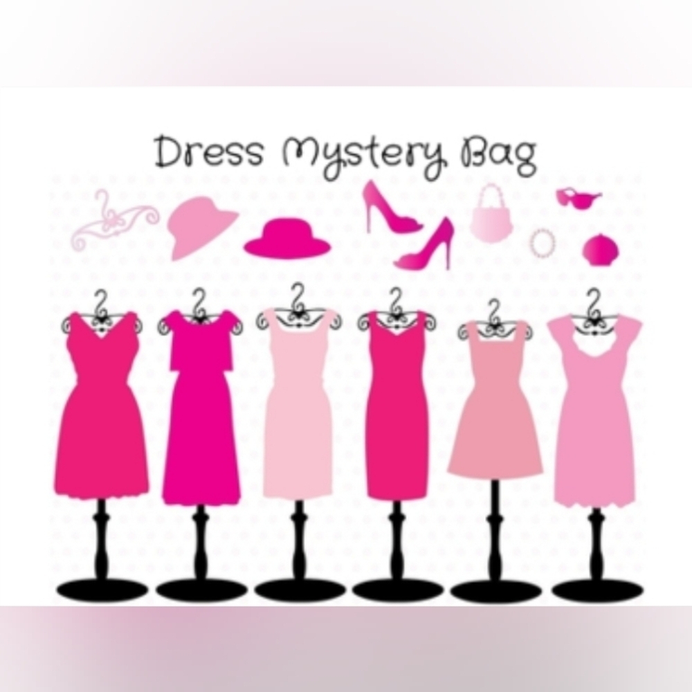 NWT/NWOT Dress Mystery Bag OS
